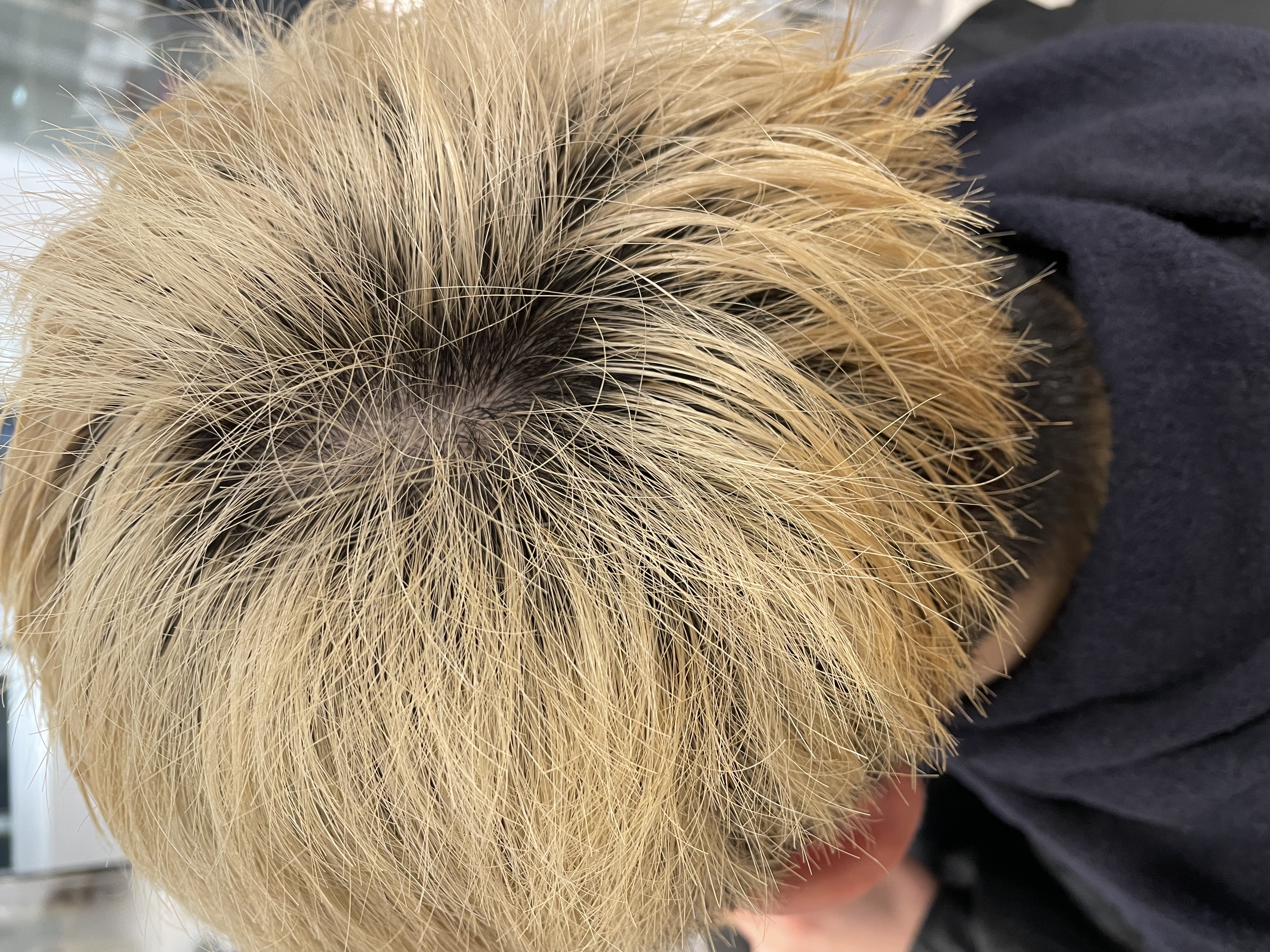 先輩のカラーを任せてもらいました！のメイン画像